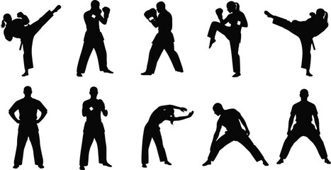 Collection of martial arts and fitness silhouettes showing kicking, fighting and stretching poses isolated on white background representing strength and training © boishakhisarker