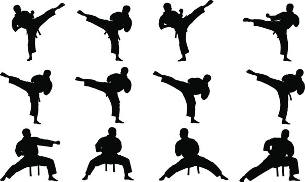 Collection of martial arts fighter silhouettes performing high kicks and stances, combat training poses, dynamic action movement, sports vector illustration set