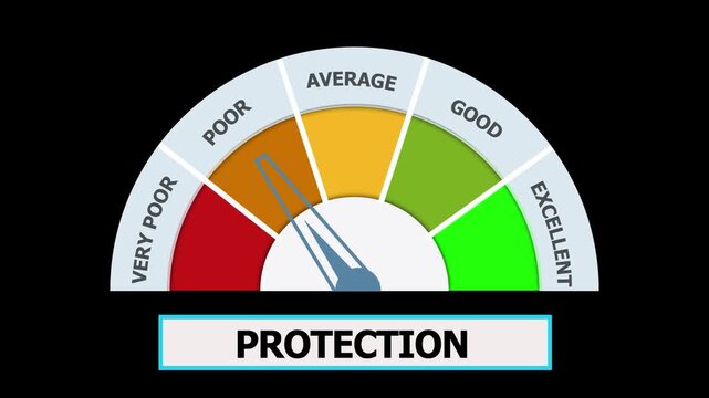 Gauge Meter Showing Performance Levels from Very Poor to Excellent with Labels for Pro and Protection