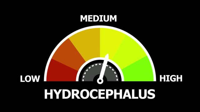 Hydrocephalus Level Gauge Indicator with Dial Showing Low Medium and High Levels in Style