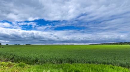 Obraz premium Green fields under stormy sky with scattered clouds