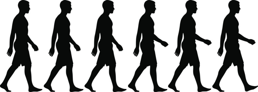 Sequence of walking man silhouettes showing human gait cycle, step by step movement, side view motion study, daily activity vector illustration