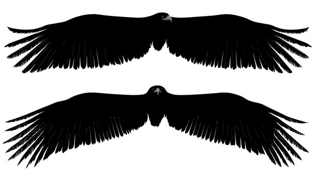 Black graphic illustration featuring two bird silhouettes in a symmetrical design with outstretched wings
