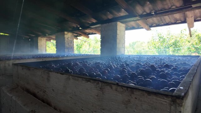 Interior of a prune drying facility with multiple smoking ovens. Smoke slowly rises through the fruit, showing the process of making prunes using natural wood-fired drying in a countryside setting.