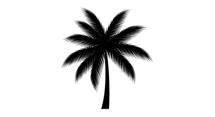 Fototapeta premium Eid Ul Adha Black palm tree silhouette, tropical icon, palm tree, dark leafy tree Eid
