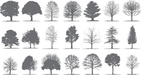 Fototapeta premium Collection of diverse grey tree silhouettes with detailed branches and foliage against a white background