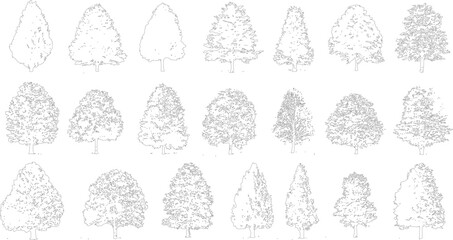 Collection of black and white line of deciduous and coniferous trees in various shapes and sizes outline © Pixel Park