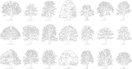 Collection of black and white line of various deciduous and coniferous trees with detailed branches and foliage © Pixel Park