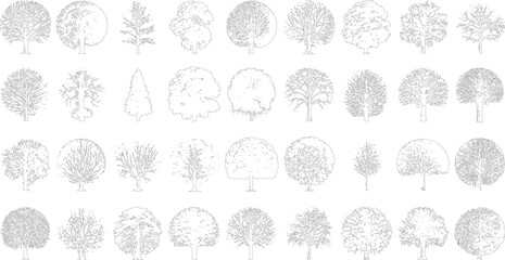 Collection of diverse line of deciduous and coniferous trees in various shapes and sizes nature plant © Pixel Park