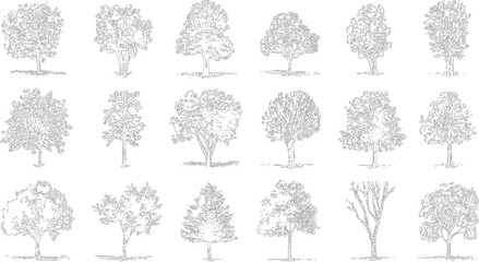 Collection of fifteen black and white line of various deciduous and coniferous trees with detailed foliage and visible roots and ground © Pixel Park
