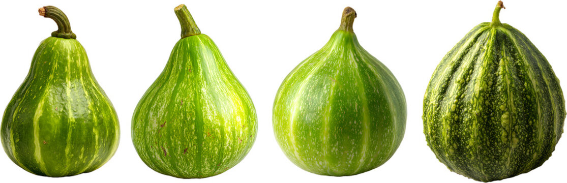 Four Decorative Squash Cucurbita ficifolia Displayed Together Rustic Organic Vegetables Isolated On Clean Studio Background

