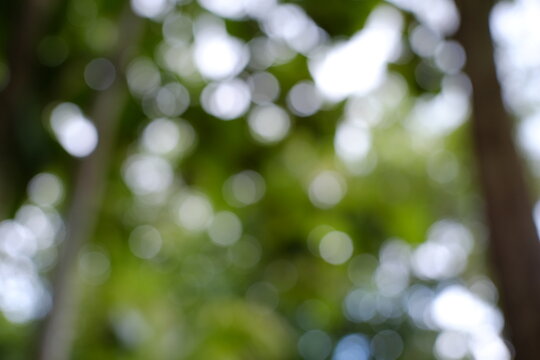 Blurred background, green grains, can be used as an aesthetic background, its use is very flexible. Like how a person with low vision sees.