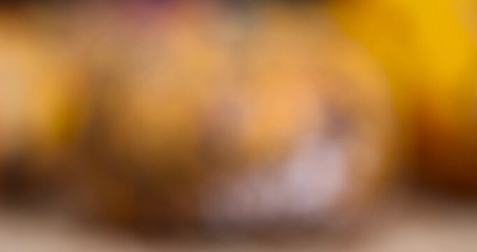 small yellow pumpkins completely covered with harmful dangerous mold, spoiled pumpkins that have begun to rot and become covered with mold