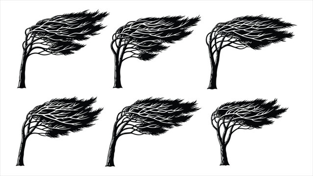 Black Solid Windblown Pine Tree Silhouette Set &ndash; Six Trees Vector Collection