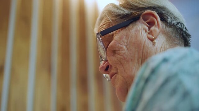 Sunlit wooden interior closeup white grandma, elderly white woman in intimate profile with glasses and earring, warm panelled background, soft light revealing wrinkles and skin texture, contemplative