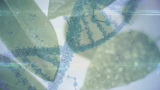 Animation of dna and molecular structures over close up of leaves against grey background