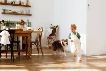 Little blonde boy with a border collie dog running at the Easter table. Child and pet in a cozy kitchen with Easter eggs, spring flowers, and traditional cake. Happy holiday atmosphere © Krystsina