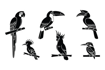 Naklejka premium Exotic birds silhouettes collection: parrot, toucan, hoopoe, kingfisher