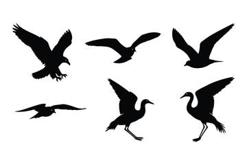 Obraz premium Flying bird silhouettes set: eagle, seagull, crane, bird in flight