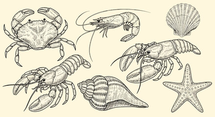 Obraz premium Vintage seafood engraving set with crab shrimp lobster shell
