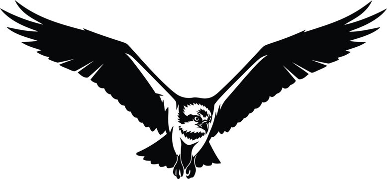Silhouette of an osprey bird in flight with wings spread, predatory bird, wildlife, nature, freedom, avian