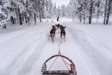 Winter wonderland adventure in Akaslompolo, Lapland with husky sledding © Fokke Baarssen