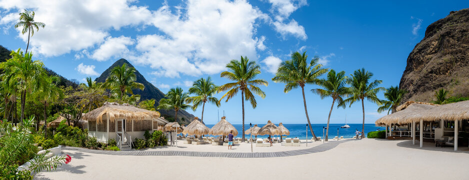 Explore paradise in luxurious Saint Lucia with palm trees and stunning ocean views