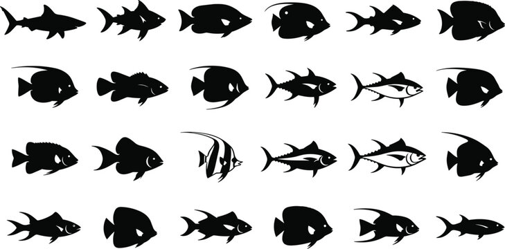 Black silhouette collection of marine fish featuring sharks tuna angelfish and tropical sea life isolated on white background