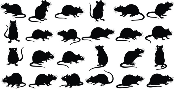 Black silhouette collection of rats and rodents in various poses featuring standing scurrying and sitting positions isolated on white background