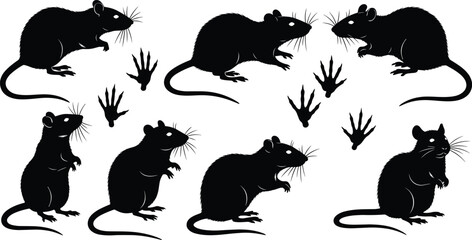 Diverse collection of black rat silhouettes in various poses with realistic paw print track marks isolated on white background for pest control design © Sabbir's World