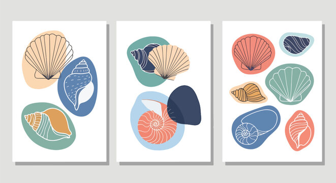 Colorful seashells on white background in three framed pictures