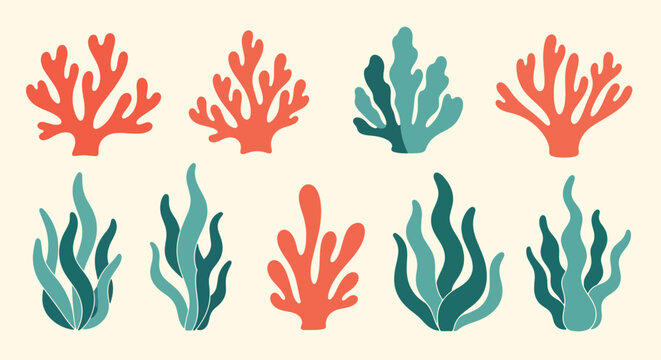 Colorful coral and seaweed marine life illustrations on cream background