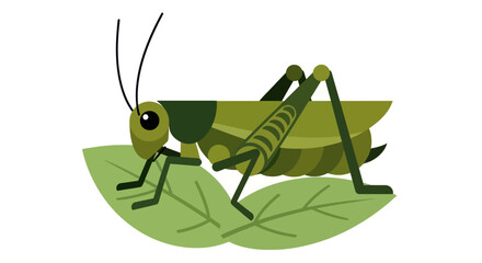 Green grasshopper on a leaf. © AAS CREATIVE