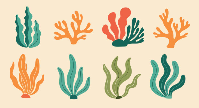 Coral Reef Seaweed and Coral Pieces on Beige Background