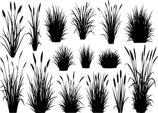 Black grass silhouette collection, 15 marsh plant and reed vector elements, wild meadow grass tufts for landscape design and nature illustrations isolated PNG with Transparent Background
