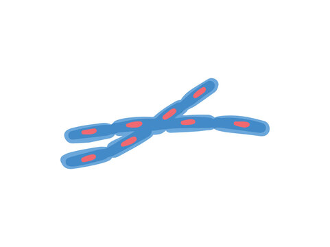 Bacillus Anthracis Virus Illustration