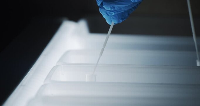 Modern medical diagnostics laboratory for COVID-19 corona virus testing in Berlin, Germany