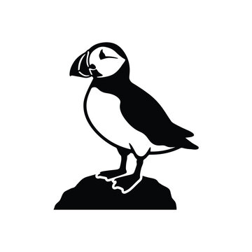 Black and white puffin standing on rock bird silhouette