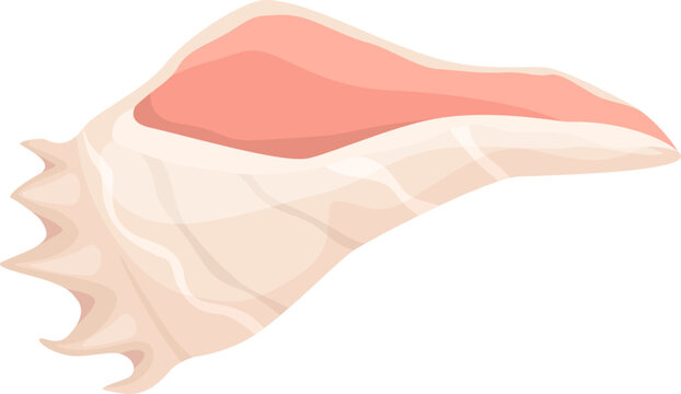 Tropical conch seashell representing summer ocean journey