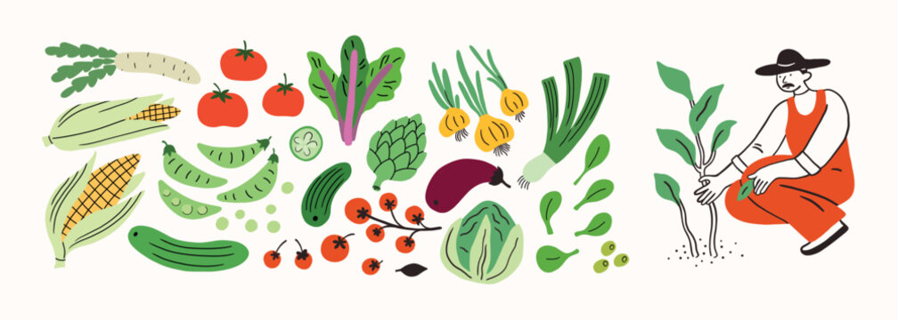 Farm agricultural local food, vegetables roots from farm, local market concept, farmer working. Hand drawn simple doodle illustration. Farming, agriculture or local. Cole, artichoke, corn, eggplant.