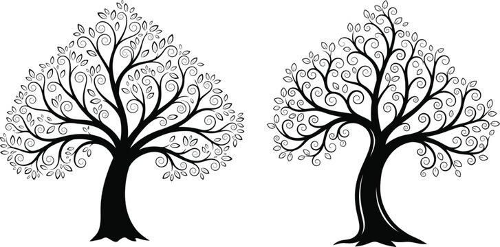 Two bare trees silhouette against white background