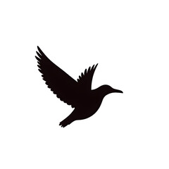 Fototapeta premium Black Silhouette of Eagle in Flight