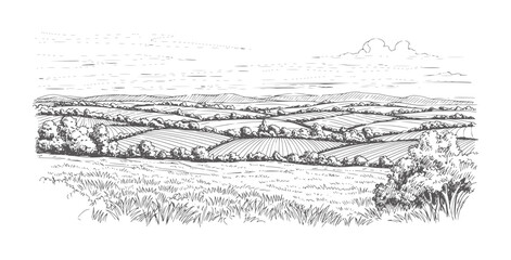 Fototapeta premium Hand drawn of rolling agricultural fields and distant hills under a cloudy sky rural