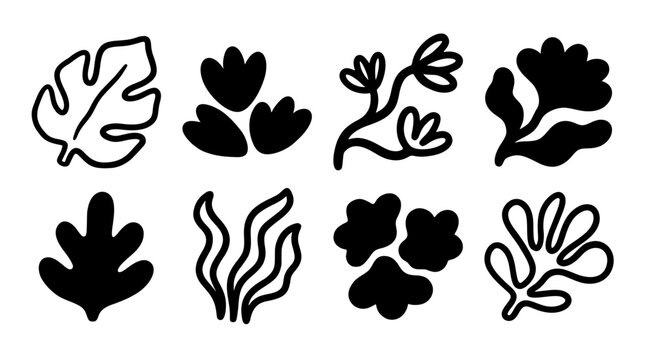 Collection of hand drawn abstract botanical vector assets. Set features black tropical leaf, wavy plant, and floral line art silhouette shapes