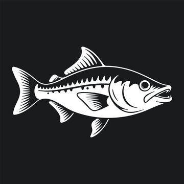 Detailed Snook fish illustration, white vector art on a black background