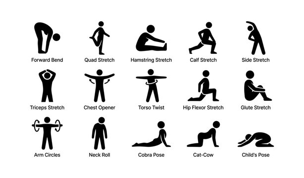 Illustrated guide to basic stretching exercises for all ages and fitness levels