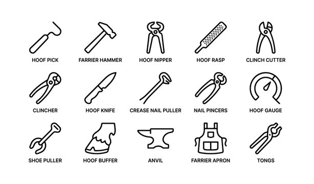 Farrier tools line art: hoof pick, hammer, nipper, rasp, cutter, clincher, knife, puller, anvil
