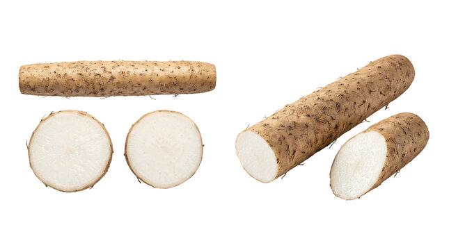 Fresh Chinese nagaimo yam whole and sliced on transparent background for healthy food design and recipe illustration.