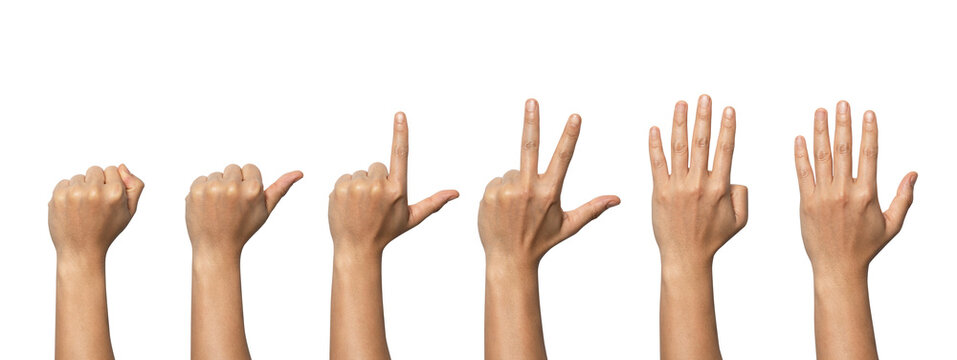 Man hand showing zero to five fingers count signs isolated on white background with clipping path included. Communication gestures concept