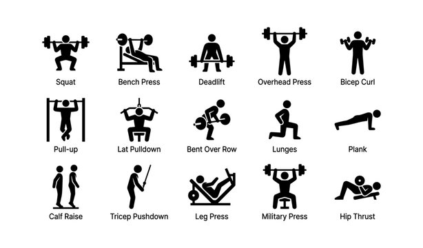 Diverse exercise icons: squat, bench press, deadlift, lunges, pull-up
